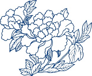蓝线勾勒的优雅牡丹花