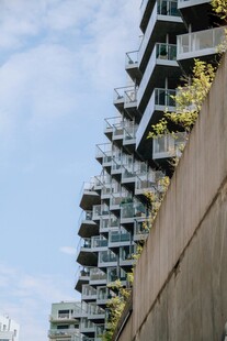 垂直绿化的现代建筑景观