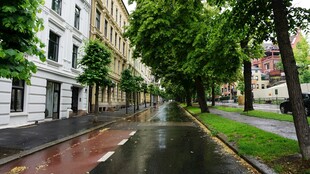 雨后街道的清新景致