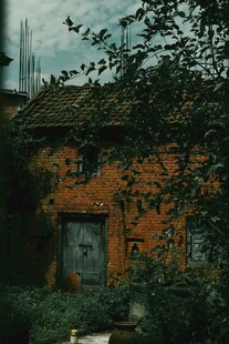 老旧红砖房隐于绿植间