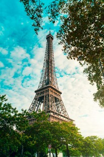埃菲尔铁塔下的绿树蓝天
