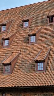 屋顶上的多扇斜窗建筑