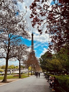 埃菲尔铁塔下的林荫道