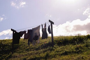 阳光下草地晾晒的衣物