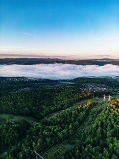山间云海下的葱郁森林