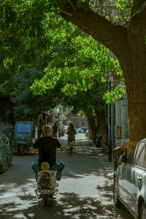 绿荫下的街道骑行场景