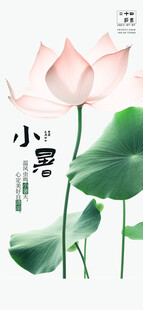 小暑