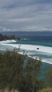 海岸风光海浪与葱郁植被