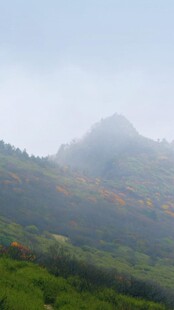 山间云雾缭绕的翠绿景致