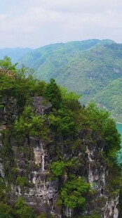 悬崖上的翠绿山林