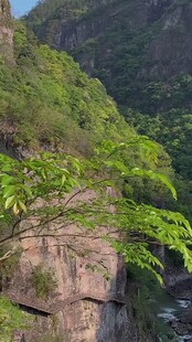 山间峭壁绿植生机盎然