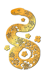 蛇形图案