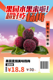 超甜多汁杨梅
