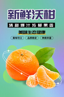 新鲜甜天柑