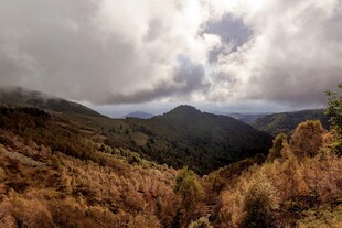 山间云海下的秋日景致