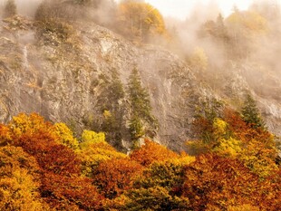 秋日山林云雾缭绕美景