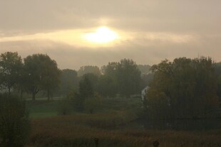 日出时分的静谧田野风光