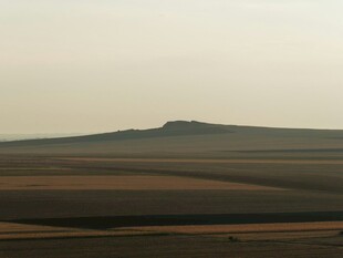 广袤原野上的孤高地
