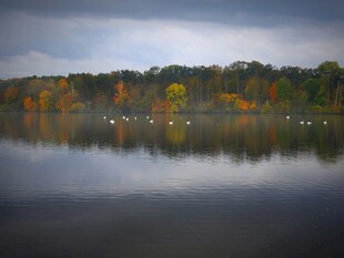 秋日湖畔美景倒影