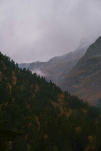 云雾缭绕的山林美景