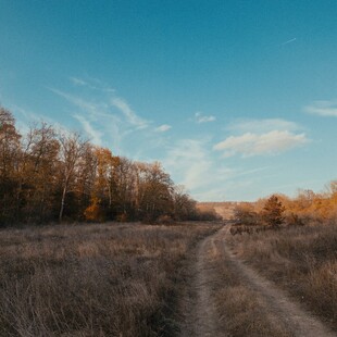 秋日旷野中的蜿蜒小路