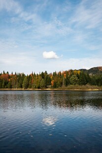 秋日宁静湖泊与多彩树林