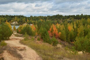 秋日林间小径美景