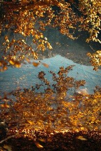 秋日湖畔斑斓树叶美景