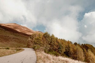山间蜿蜒公路与葱郁林木