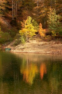 秋日湖畔斑斓树林倒影