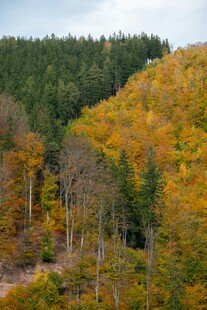 秋日山林斑斓美景