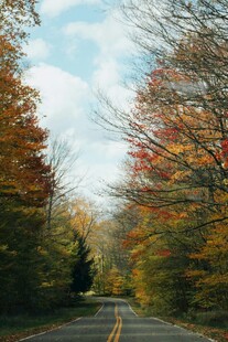 秋日林间公路美景
