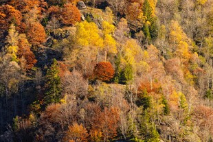 秋日山林斑斓美景