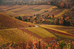 秋日田园风光美景