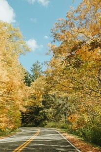 秋日林间公路美景