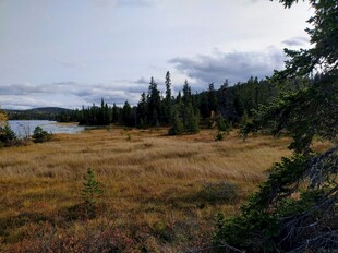湖畔秋日森林风光