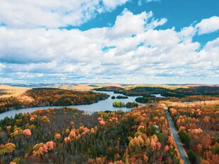 秋日森林湖泊壮丽风光
