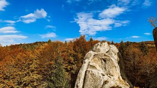 秋日山林中的奇特岩石