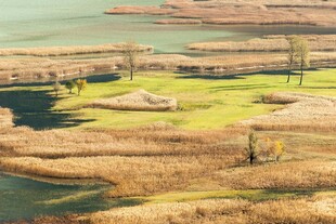 壮丽水域旁的独特地貌景观