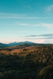 广袤绿野与远山