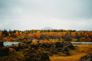 秋日湖畔多彩景致