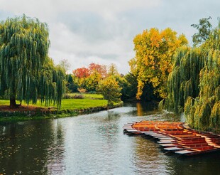 河畔秋色中的小船与垂柳