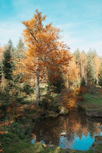 秋日山林湖畔美景