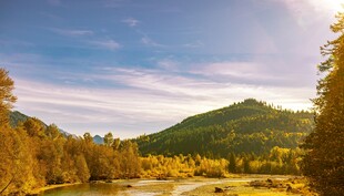 秋日山林河畔美丽风光