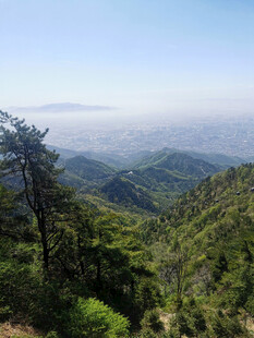 泰山风光