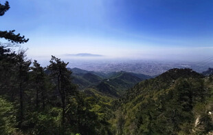 泰山风光