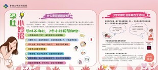 女性健康知识宣传页展示