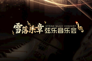 雪落乐章弦乐钢琴音乐会