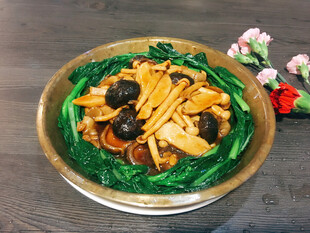 铜盘杂菇
