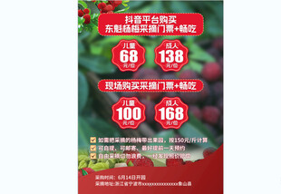 杨梅采摘海报